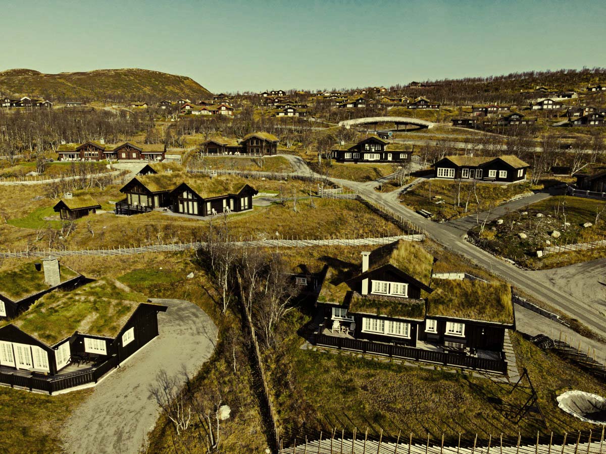 Green and Ballasted Roof Solutions