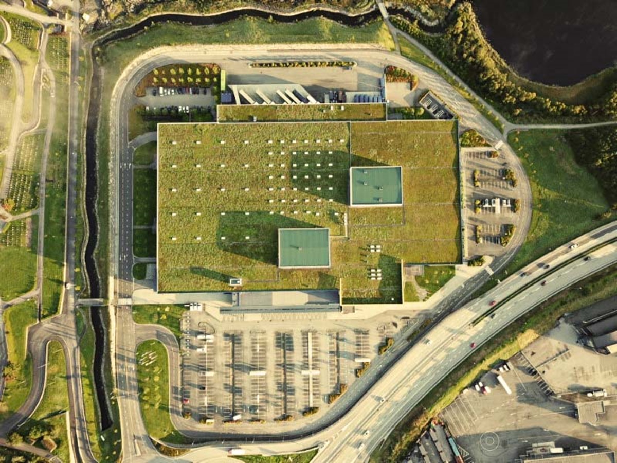 Extensive Green Roof