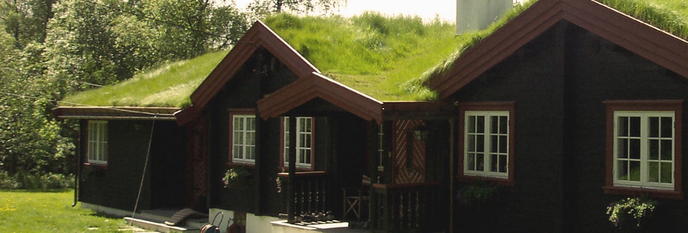 Protan-green-roof.jpg